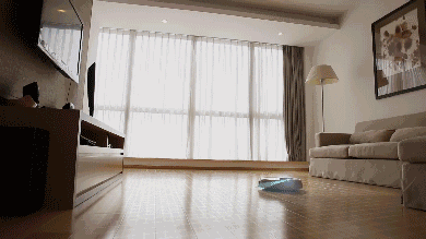 地宝DR95